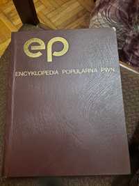 Encyklopedia PWN 1982r