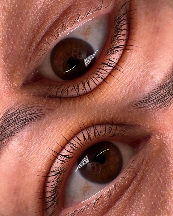 Брови Вії Бориспіль