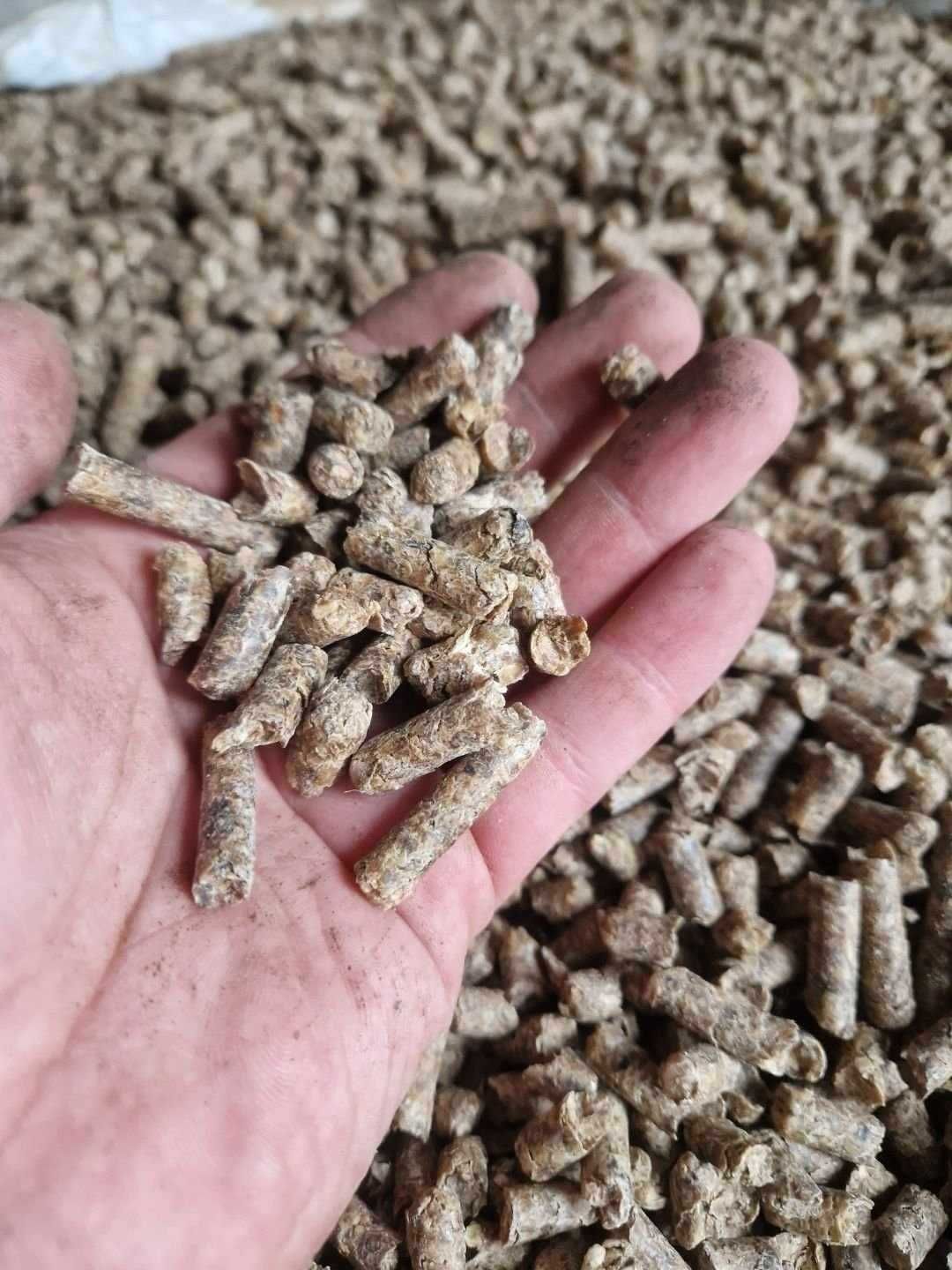 Śruta sojowa białko 46 białko  i inne produkty paszowe