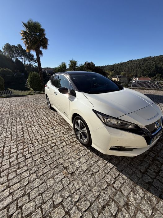 Nissan leaf 2019