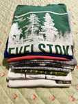 Lote de 10 T-shirts de Marcas Diversas