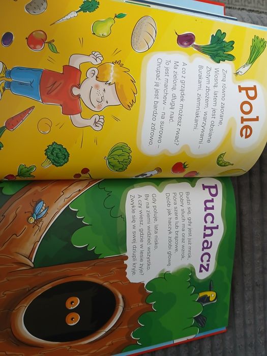 Wielka księga zagadek dla dzieci książka dla ciekawskich