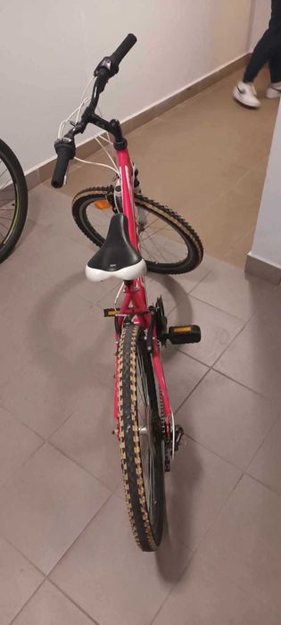 Rower Grand Roxy JR 24” malinowy