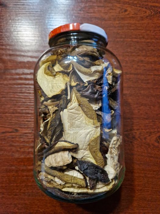 Grzyby suszone mieszanka z Borów Tucholskich