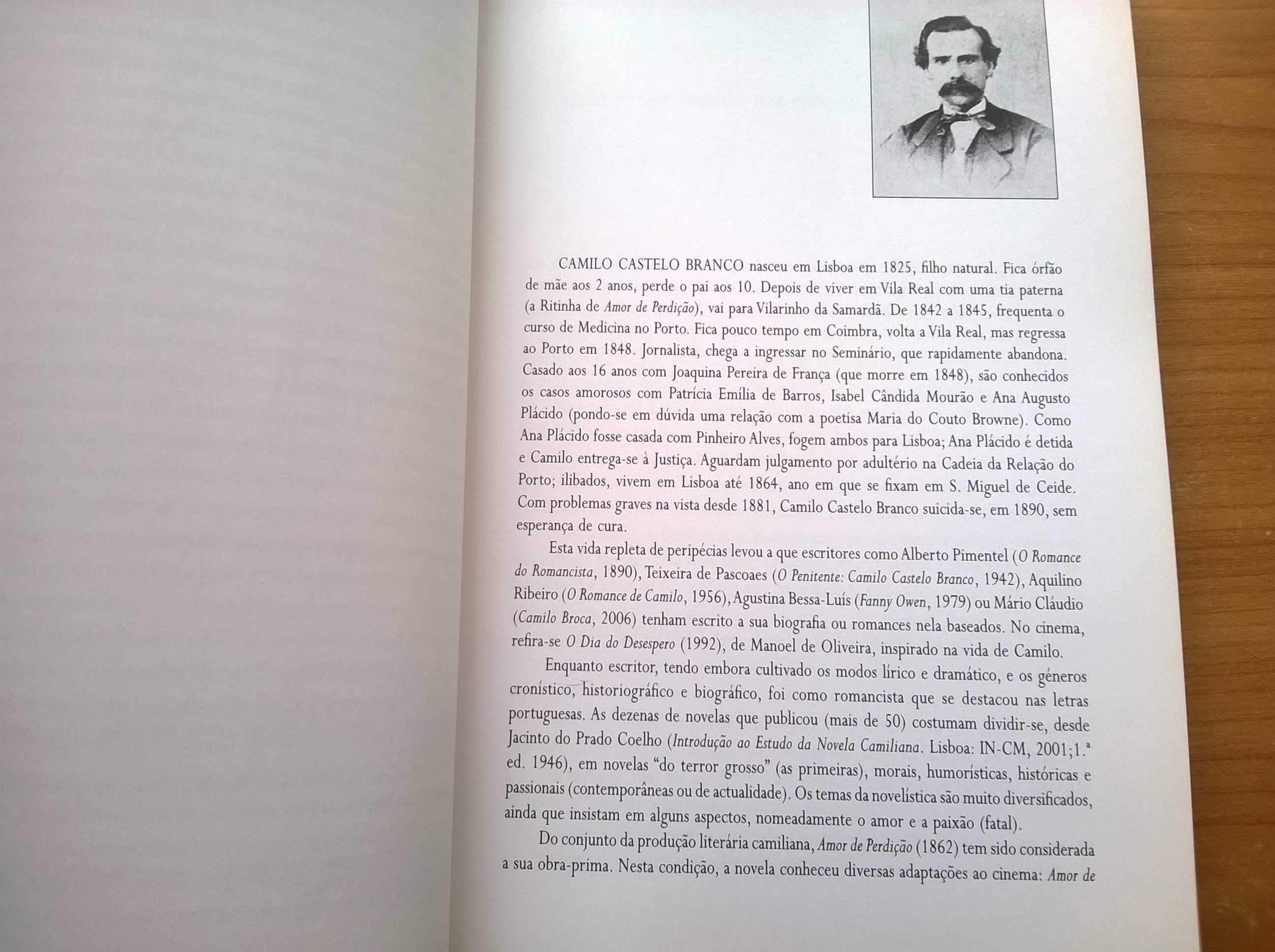 Conto Português - Séculos XIX - XXI (3) - Antologia Crítica