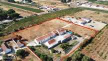 Moradia T7 com Piscina e Terreno de 6.592 m2 em Alpiarça