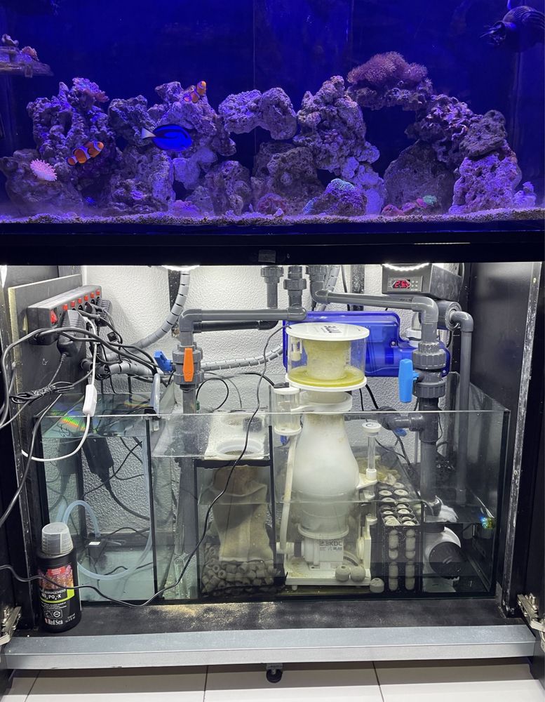 Aquario agua salgada + sump + tubagens + mó