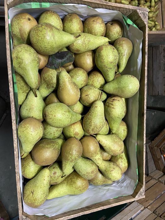 Jabłka Gruszki Sprzedaż