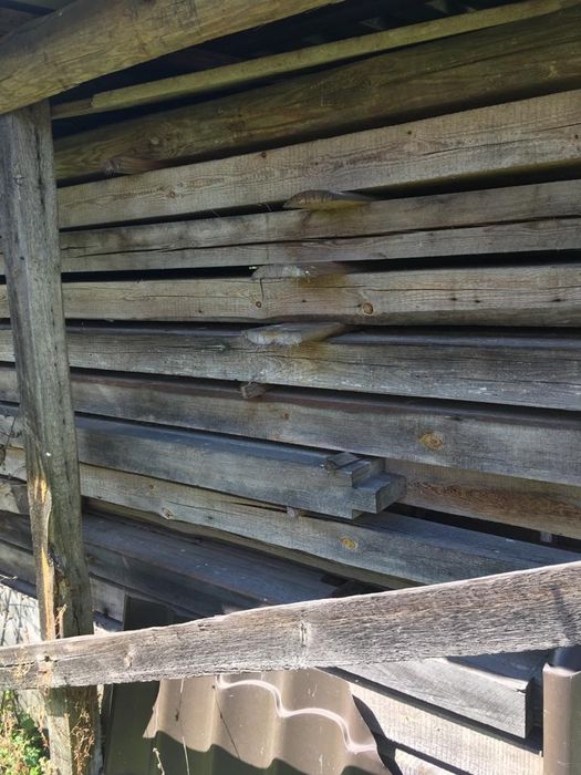 Stare drewno         .