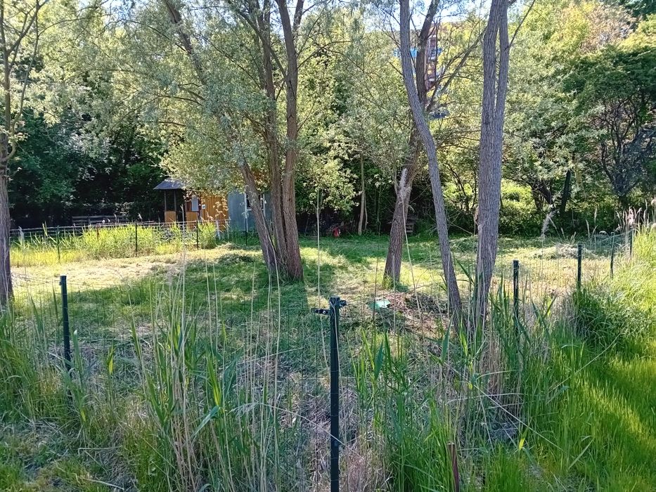 Działka [ ogródek działkowy]