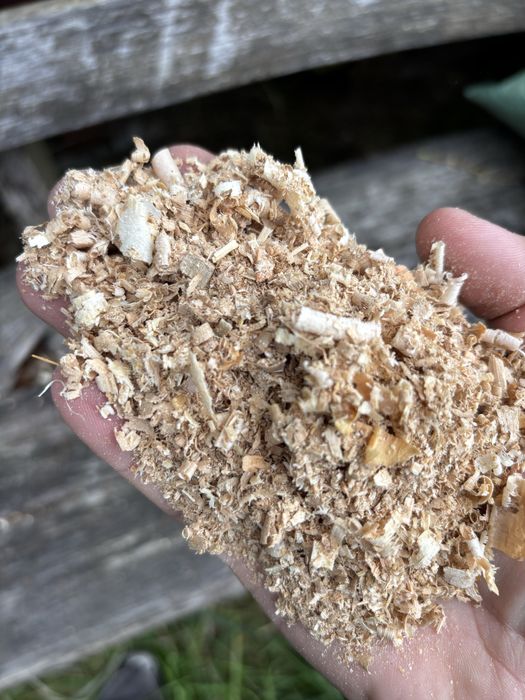 Trociny dąb jesion opal wióry