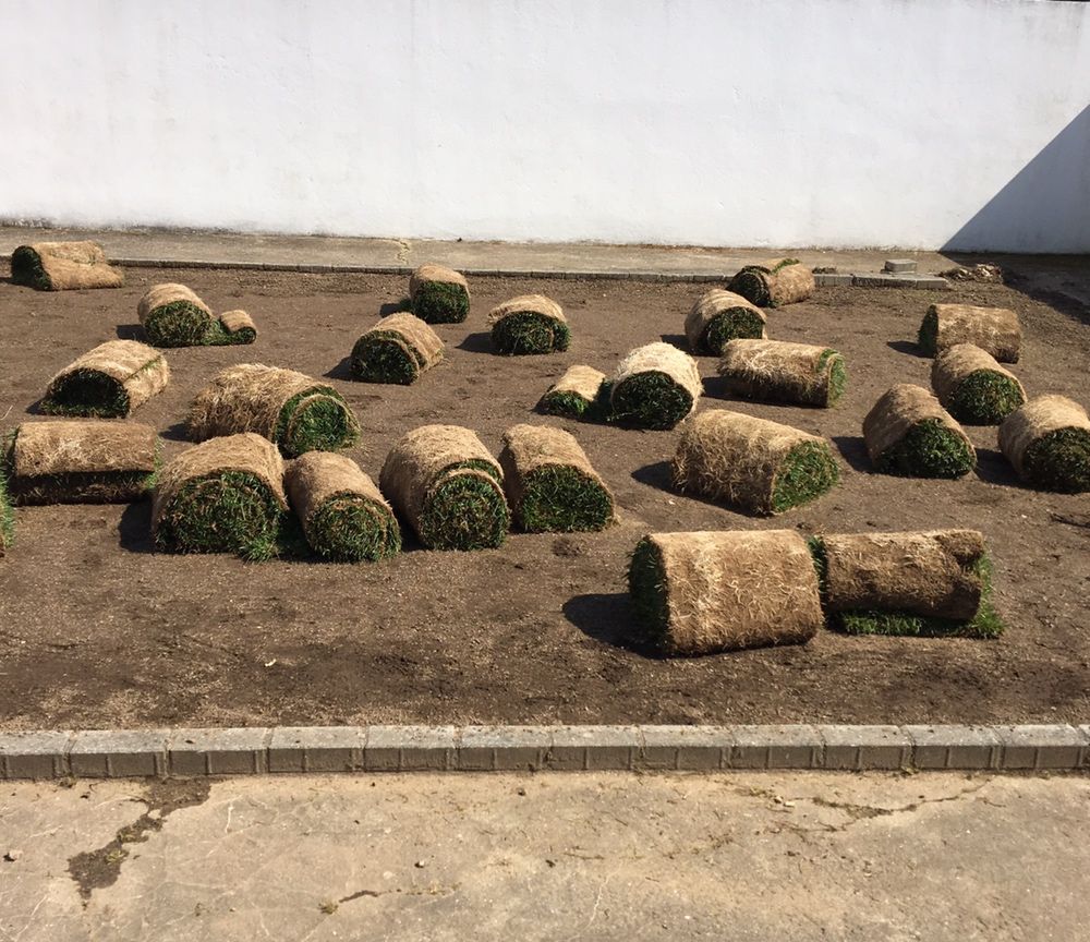 Serviço jardinagem