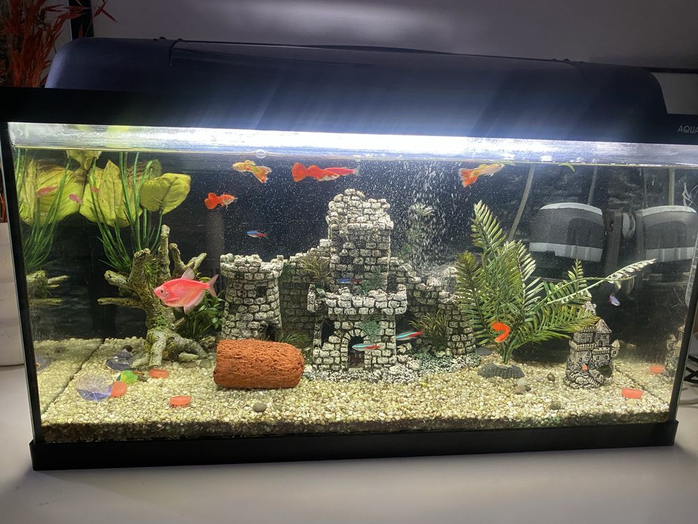 Akwarium 65 L Filtr grzalka
