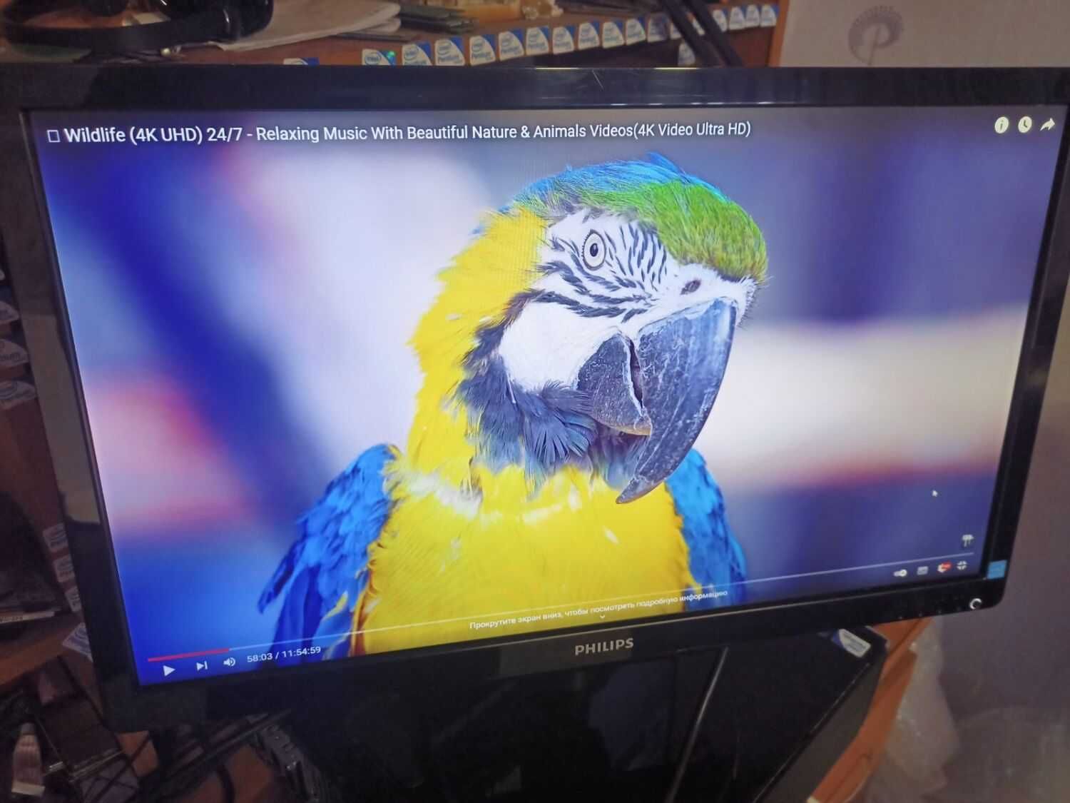Монитор Philips V-line 236V4L