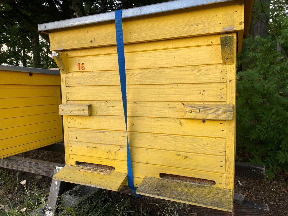 sprzedam ule ramka wielkopolska leżaki i korpusowe