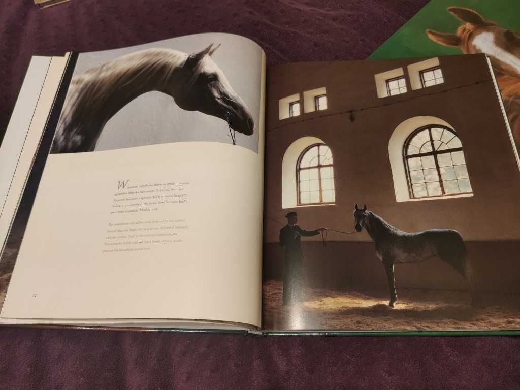 KONIE ARABSKIE Edyta Trojańska-Koch, album