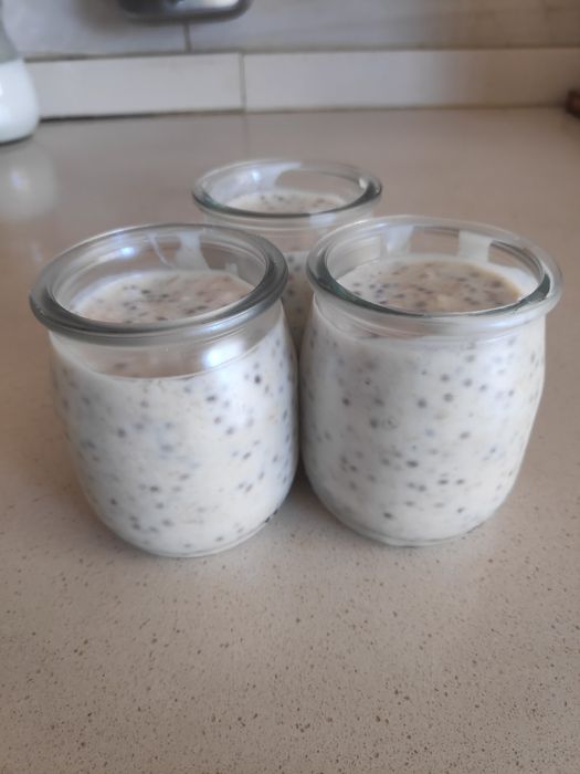 Grãos de Kefir de leite