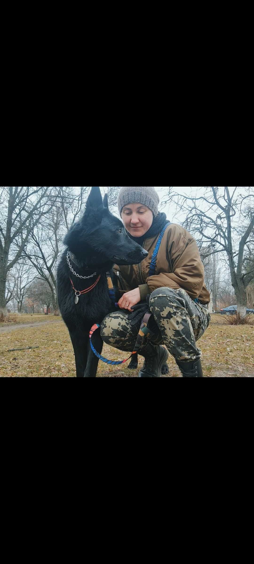 Дресирування собак. Кінолог / зоопсихолог Київ.