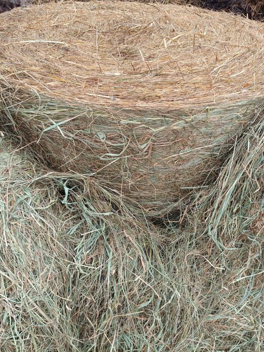 Sprzedam siano- pierwszy pokos