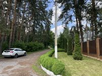 Ділянка 50сот в сосновому лісі, поруч газ та світло