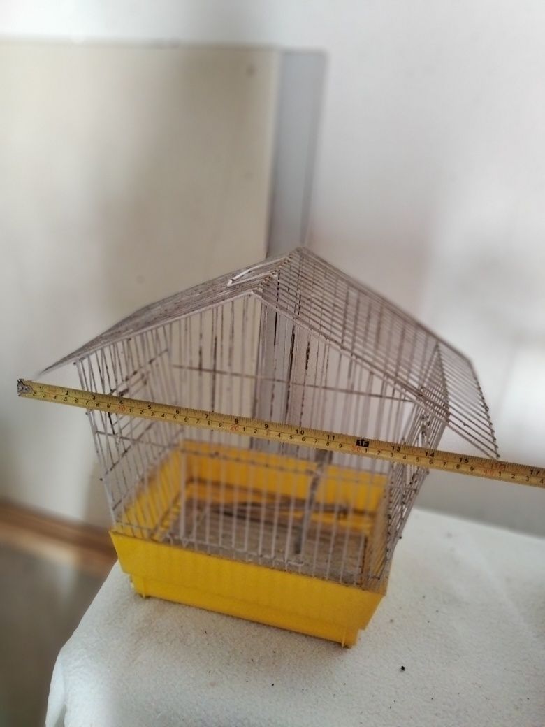 Gaiola pequena pássaro