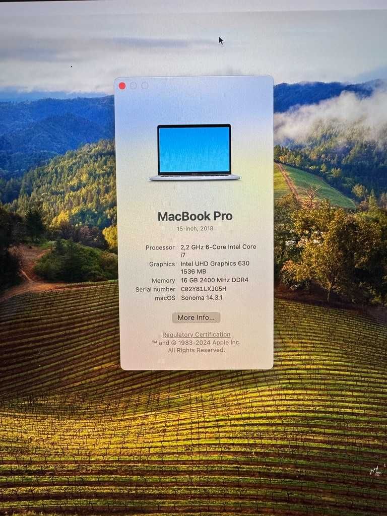 Macbook Pro 15'' 2018 (256GB)