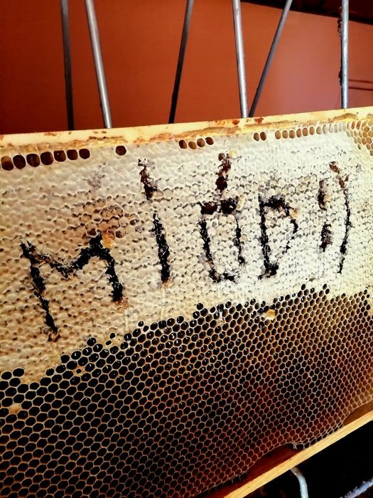 Miód lipowy spadziowy akacjowy wielokwiatowy