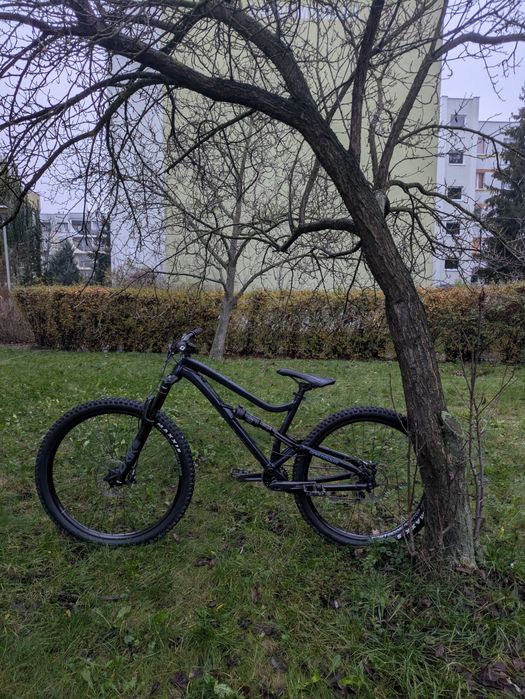 Dartmoor Bluebird Intro Mullet 2024 M Custom