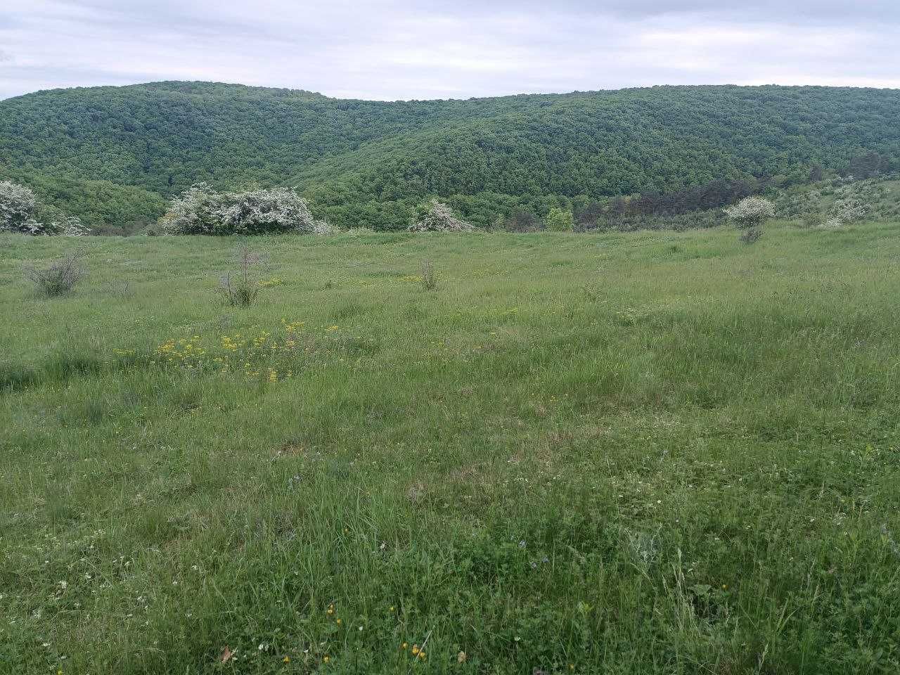Земельна ділянка