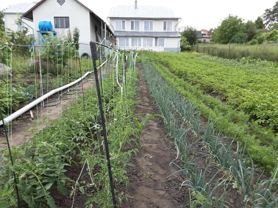Продається будинок у Підволочиську