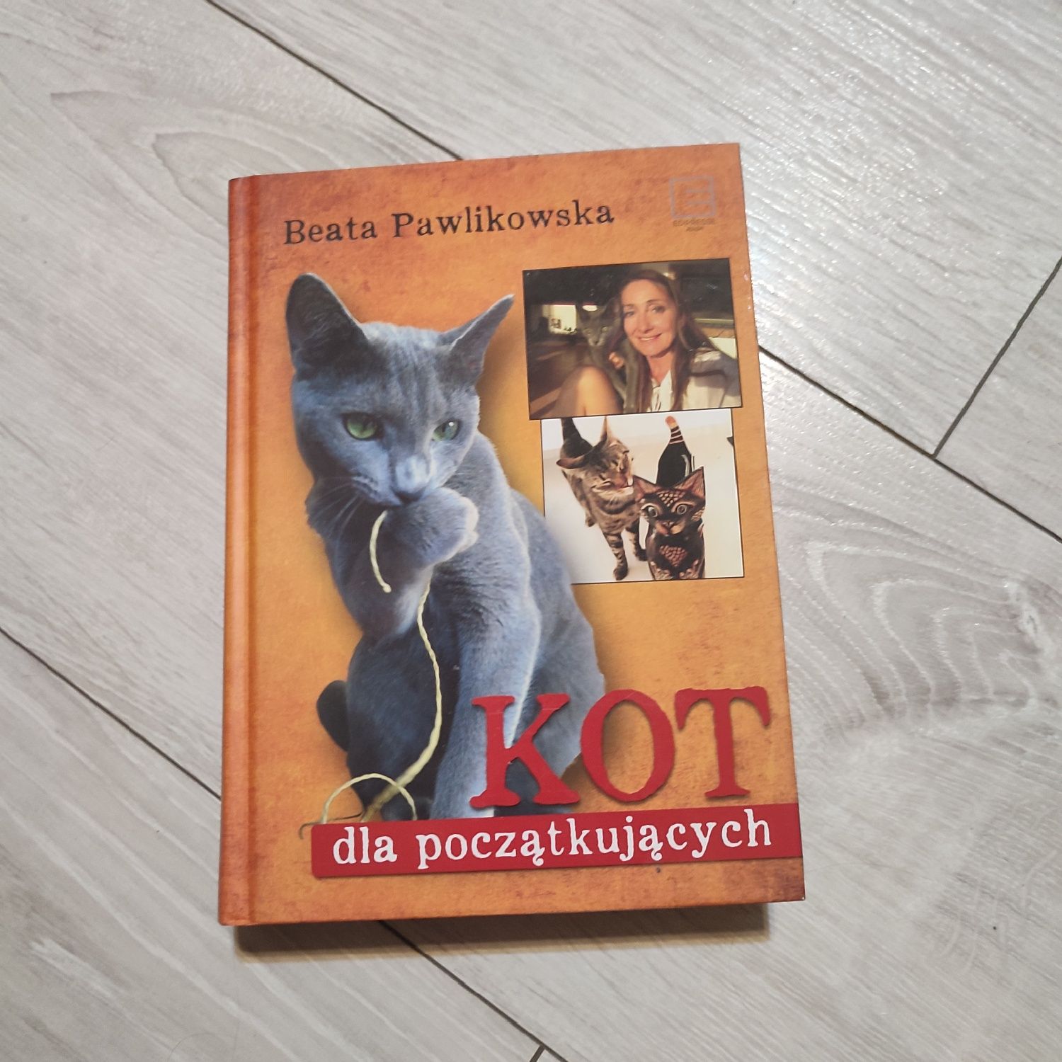 Książka Kot dla początkujących