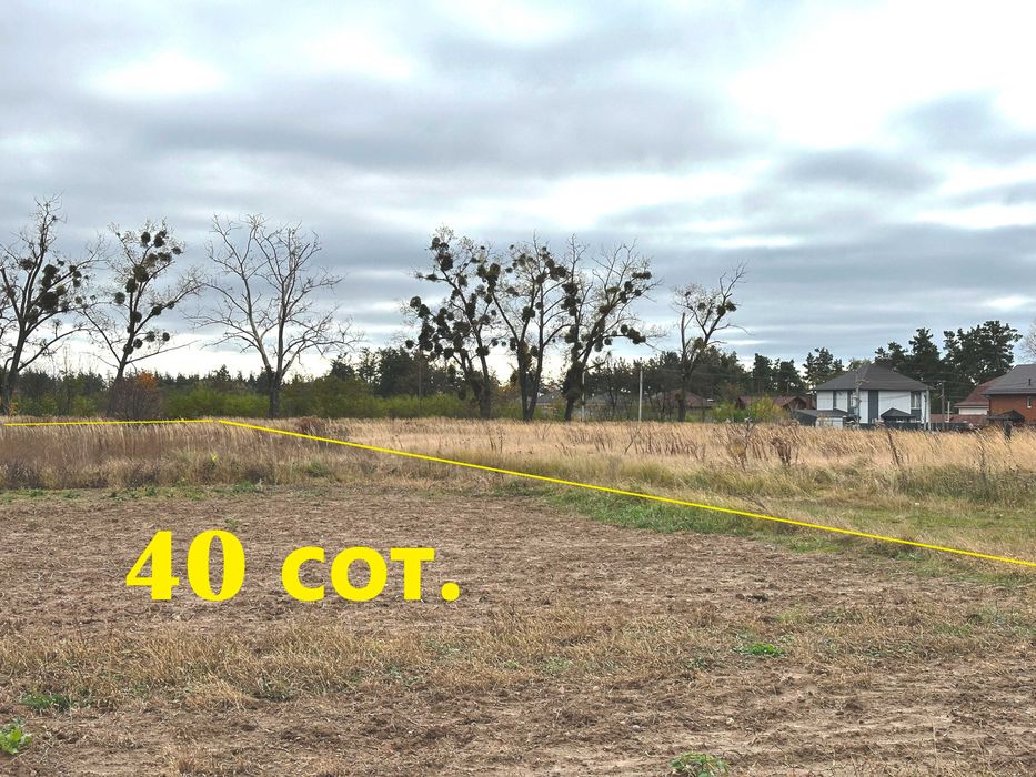 Продаються 4 земельні ділянки поруч — загальна площа 55 соток!