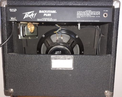 Peavey USA plus case