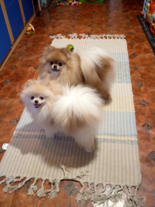 Красивий хлопчик