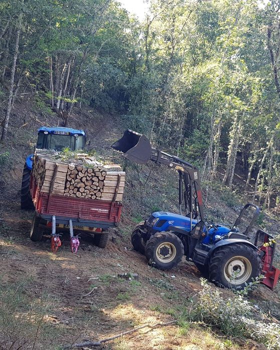 Vendo vario tipo de lenha