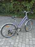 Rower damski Giant