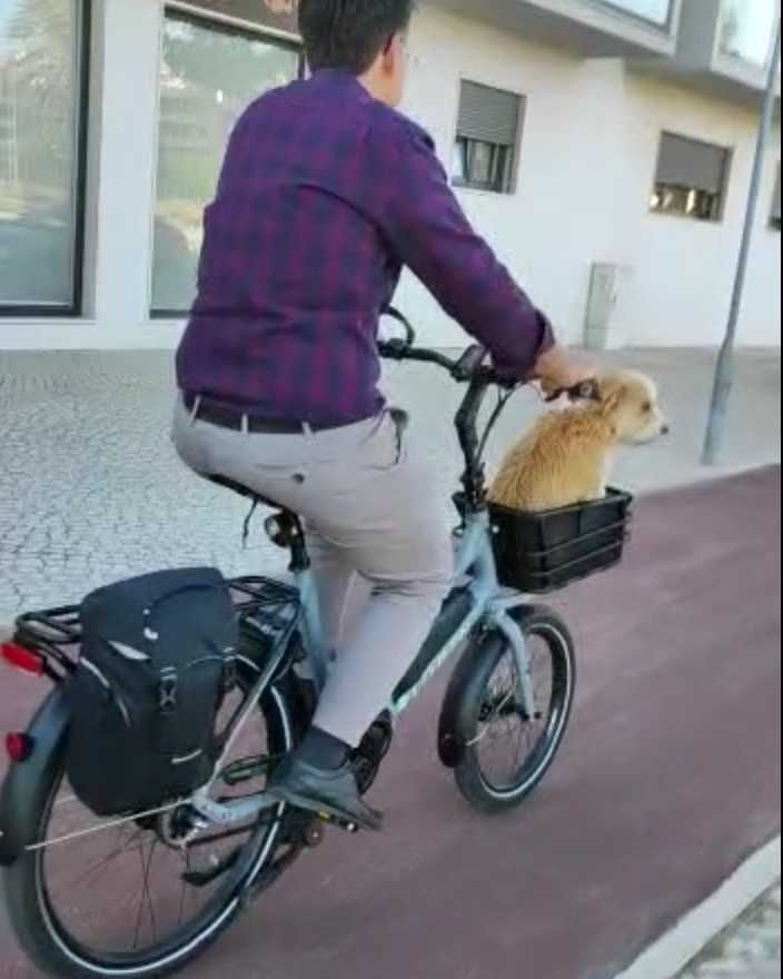 Cargo Bike Bicicleta de carga elétrica compacta LODEN