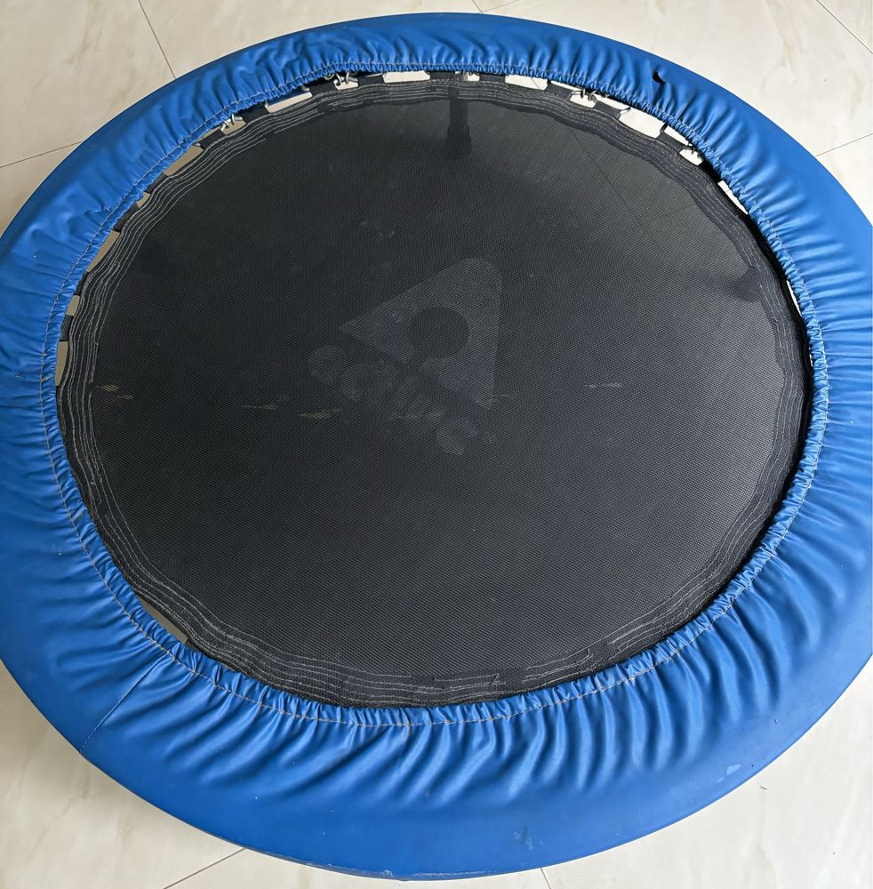 Trampolina trampolina