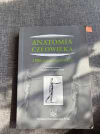 Anatomia człowieka 1500 pytań Czerwiński