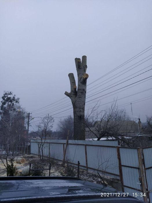 Обрізка дерев, Спил дерев, Валка, Корчування, Кронування дерев