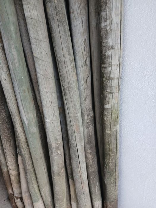 PROMOÇÃO: PAUS tratados  posso fazer 1 euro a unidade(Vedação vinhas á