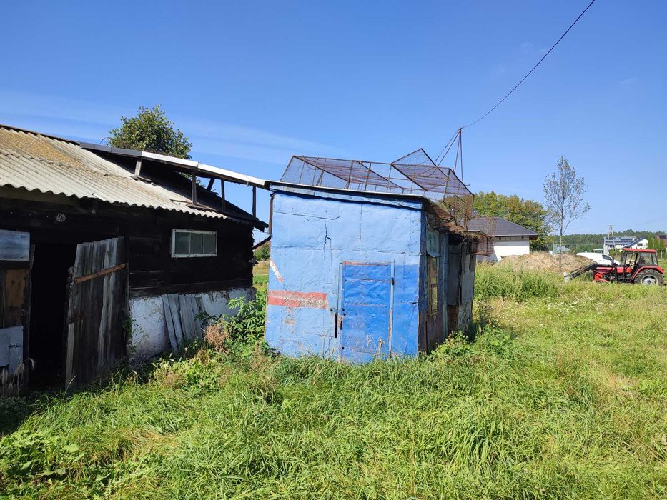 Sprzedam 3 Gołębniki