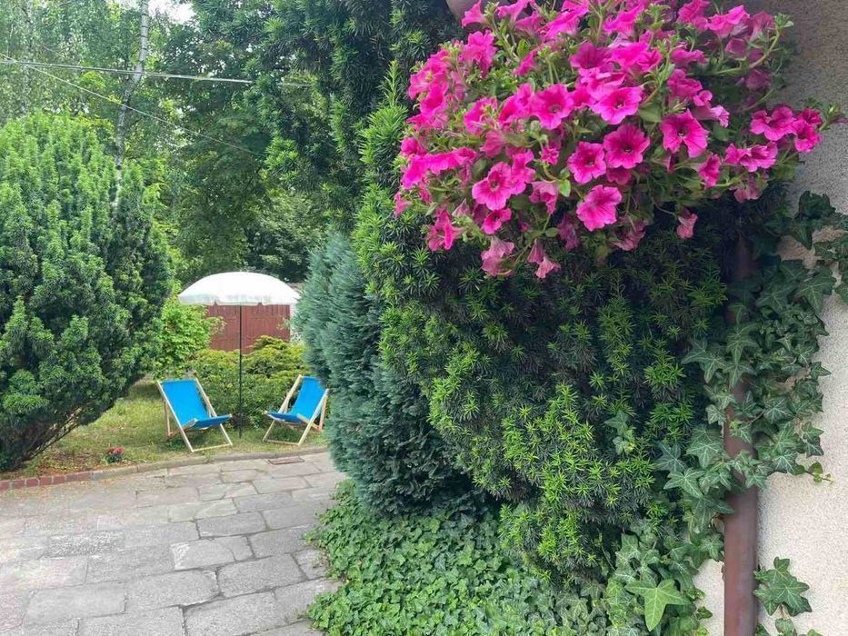 250 злотых неделя проживания Жилье Hostel Warszawa Хостел Pokoje