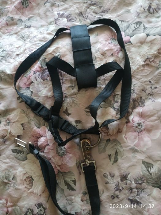 Шлейка для собак