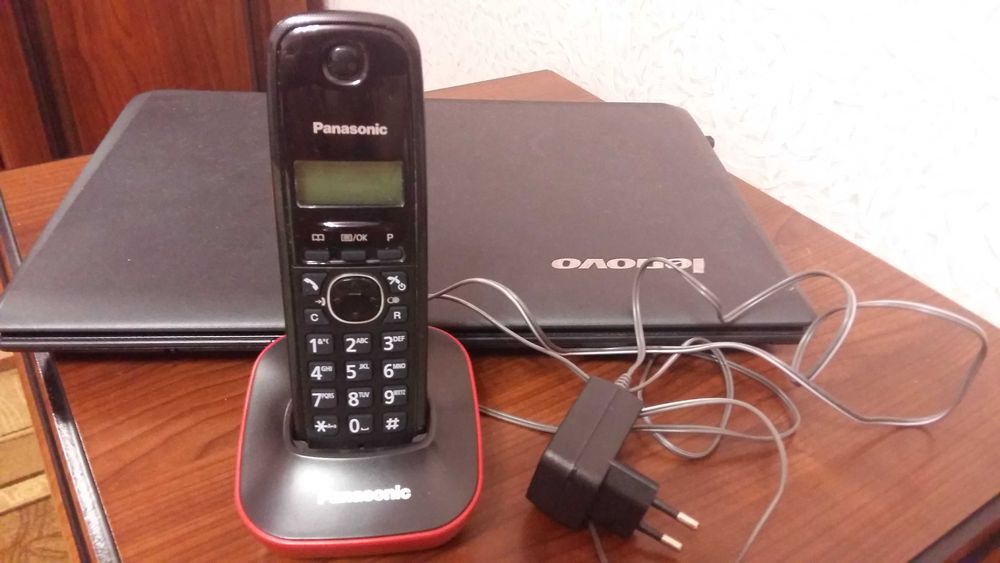Стаціонарний телефон Panasonic KX-TG 1611 JTR