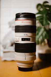 Canon EF 70-200mm f/2.8L USM