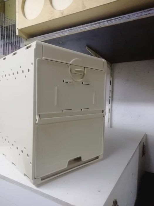 Vários ninhos de plástico para venda