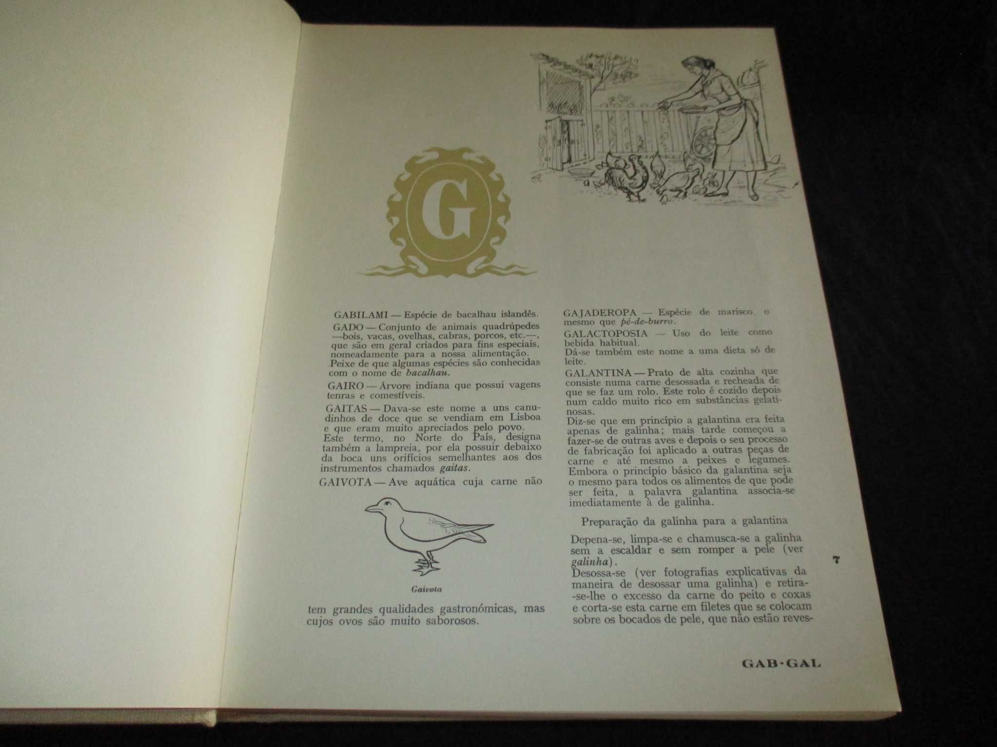 Livros Grande Enciclopédia da Cozinha Maria de Lourdes Modesto