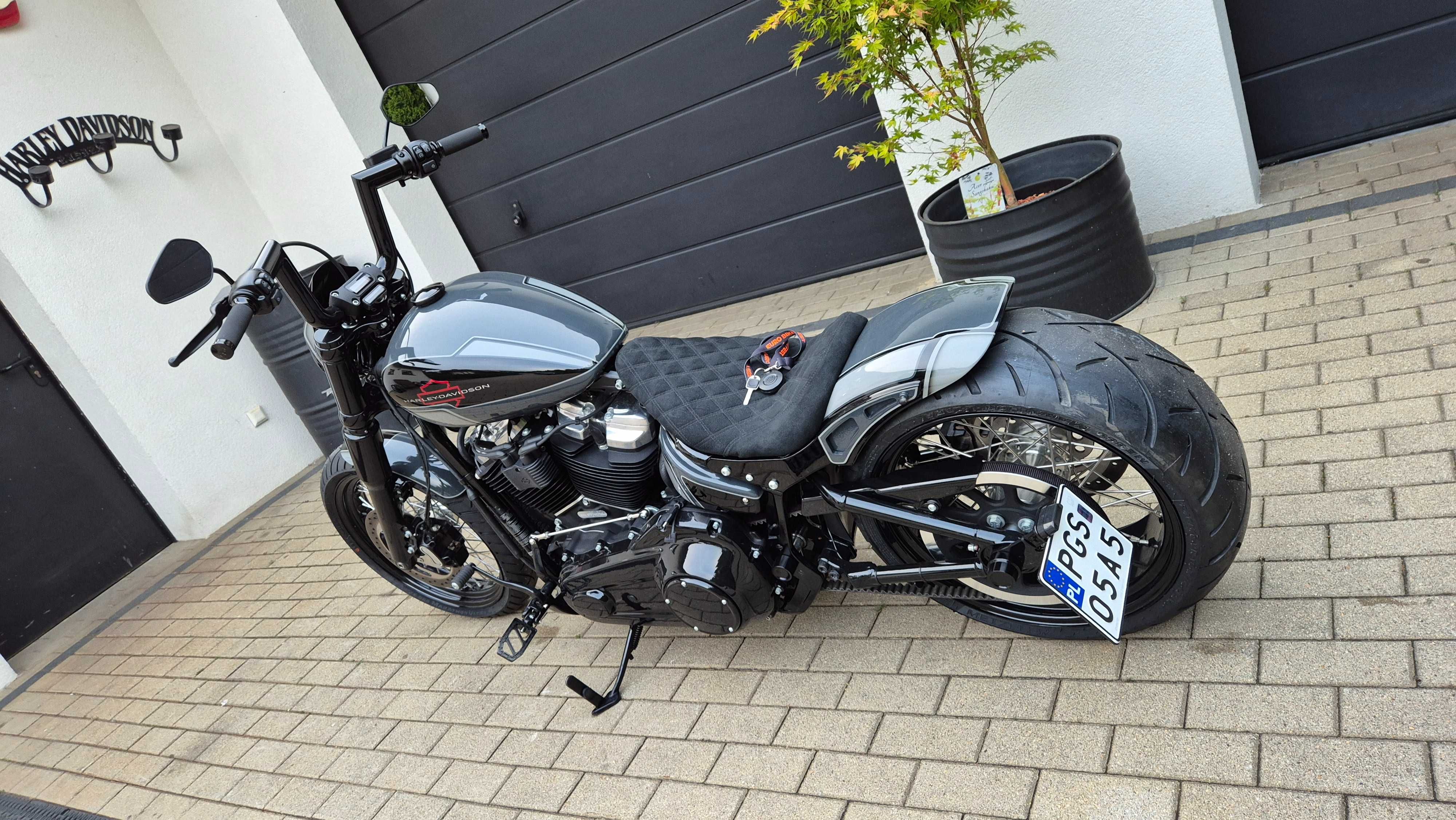 Harley Davidson FXST Softail Standard 2023r 3581 km ABS