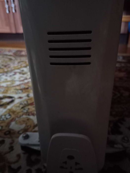 grzejnik olejowy sanico